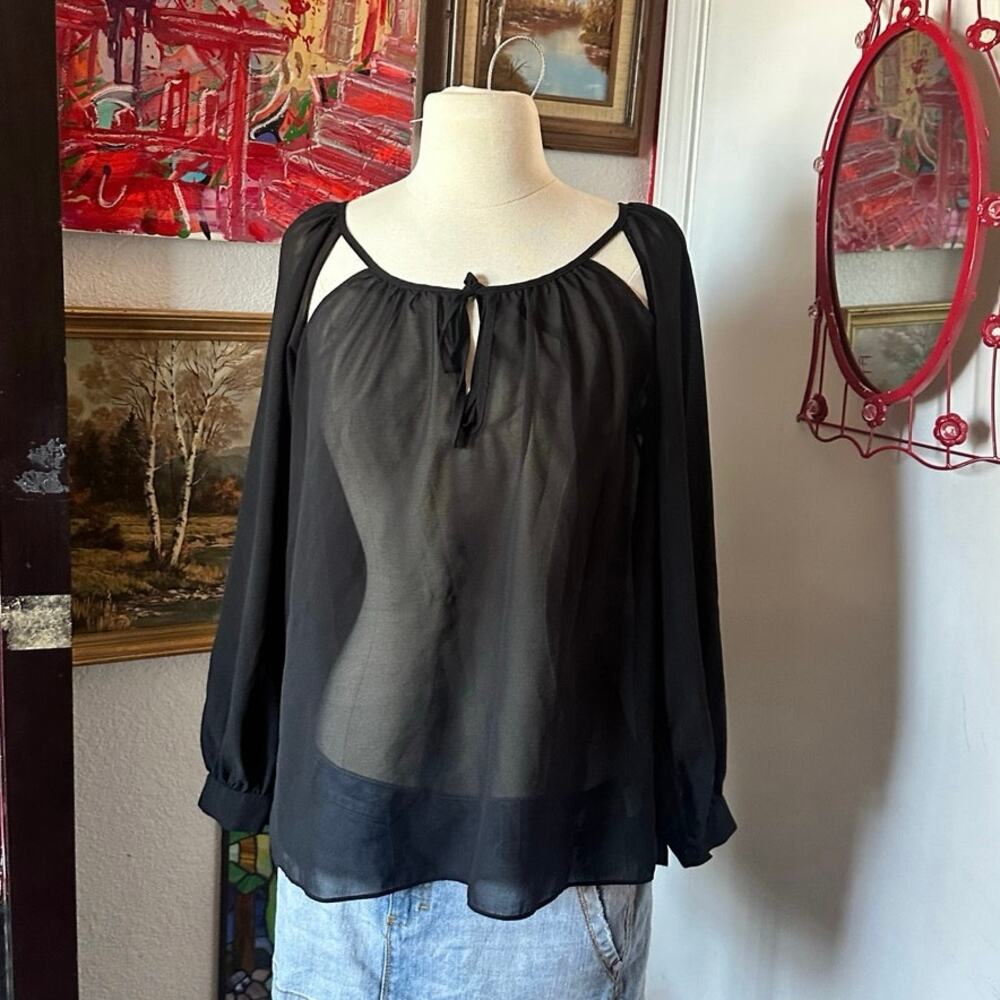akira chicago black sheer mesh long sleeve blouse